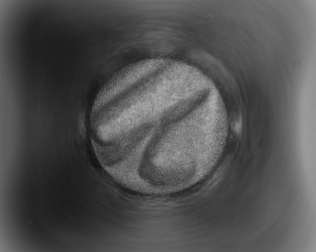 X0000087561252200705181118