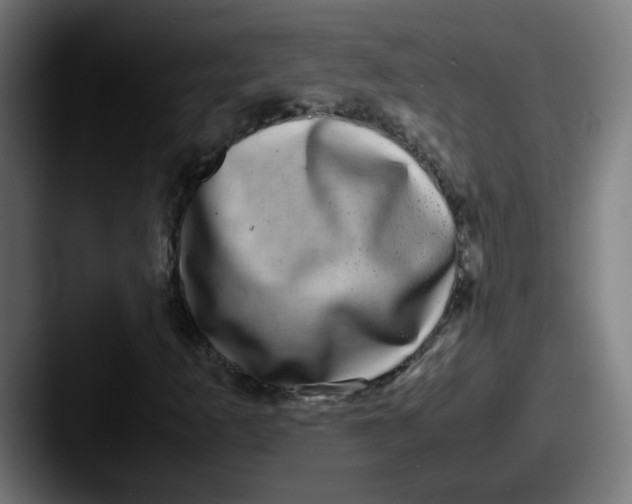 X0000087561253200705181118