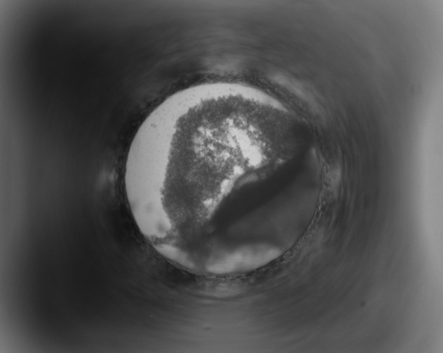 X0000087561254200705181118