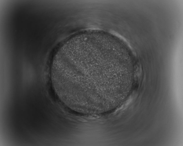X0000087561255200705181118