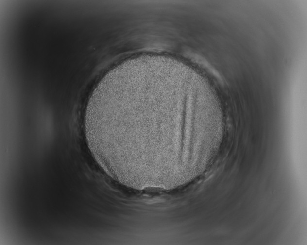 X0000087561256200705181118