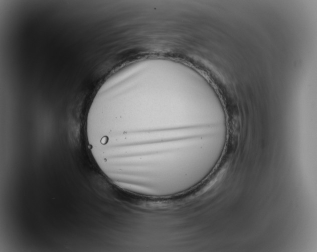 X0000087561257200705181118