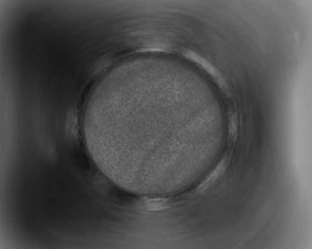X0000087561258200705181118