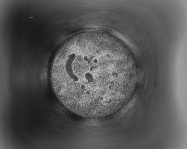 X0000087561259200705181118