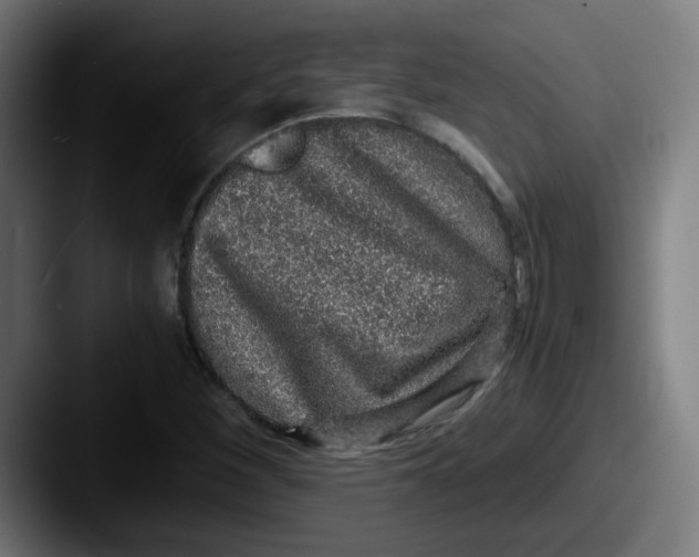 X0000087561260200705181118