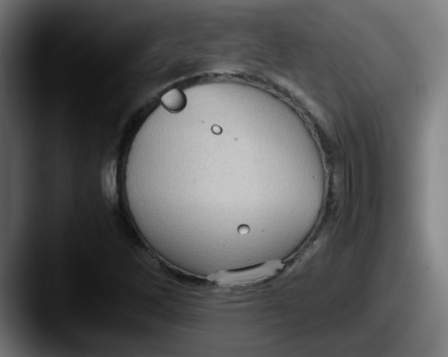 X0000087561262200705181118