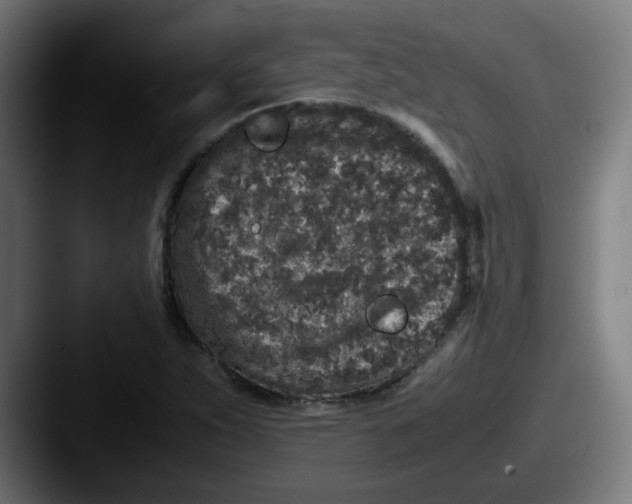 X0000087561263200705181118