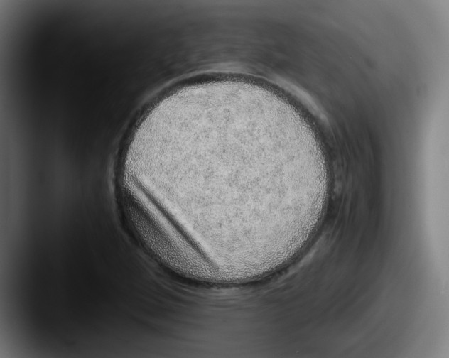 X0000087561264200705181118