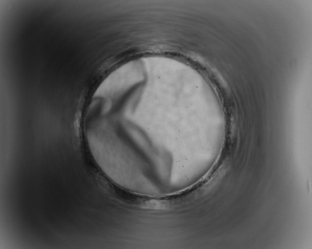 X0000087561265200705181118