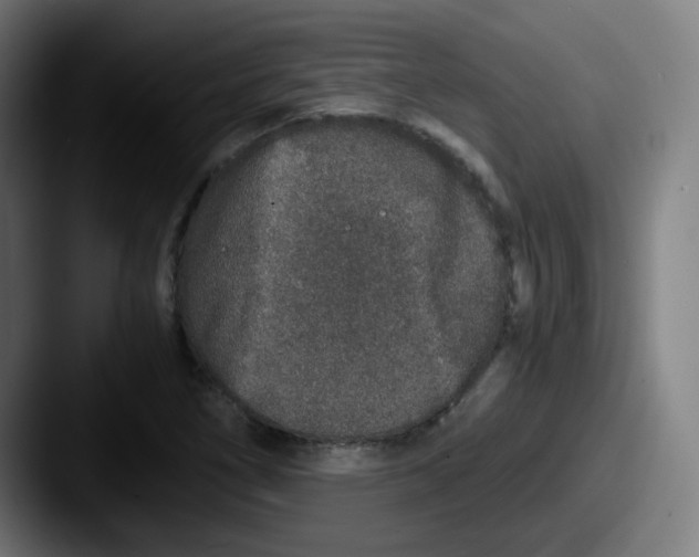 X0000087561266200705181118