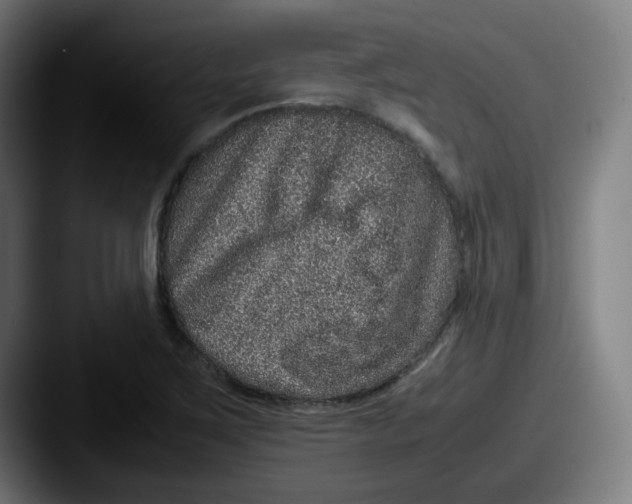 X0000087561267200705181118