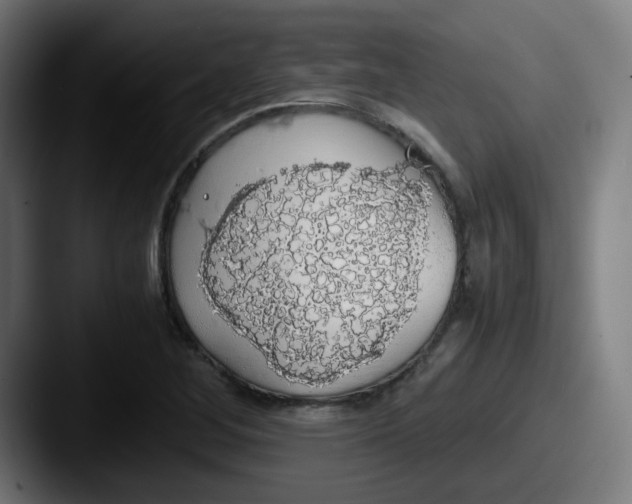 X0000087561268200705181118