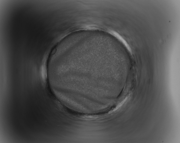 X0000087561269200705181118