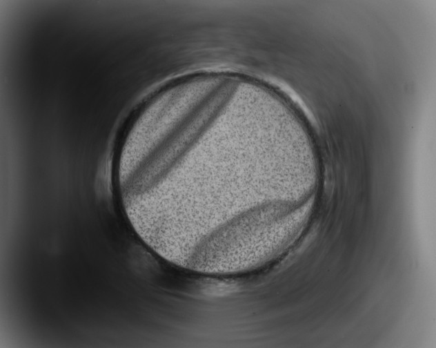 X0000087561270200705181118