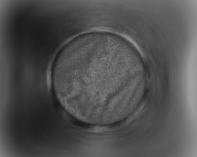 X0000087561271200705181118