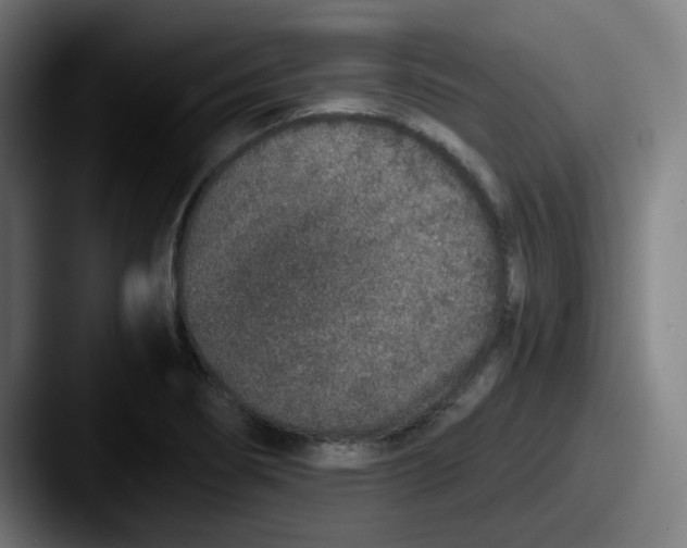 X0000087561274200705181118
