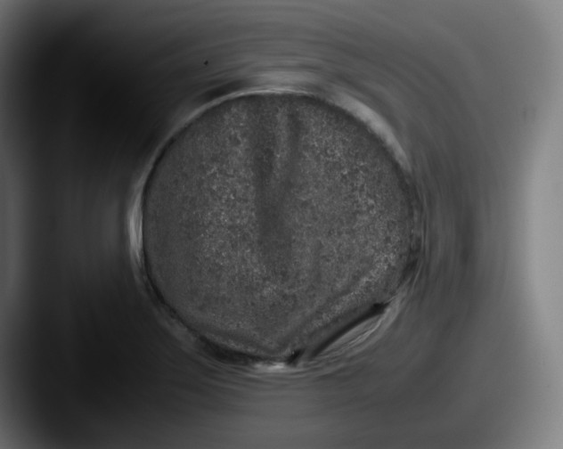 X0000087561275200705181118
