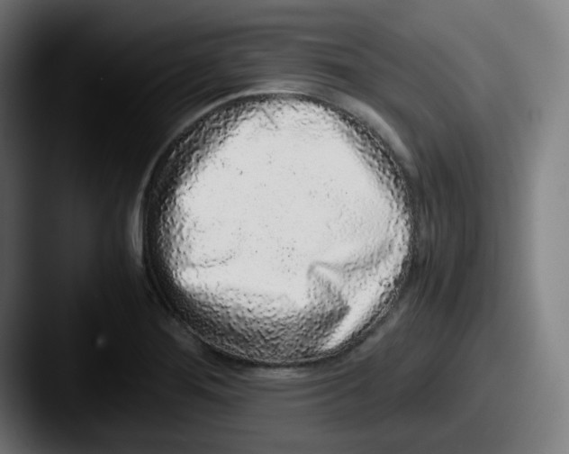 X0000087561276200705181118