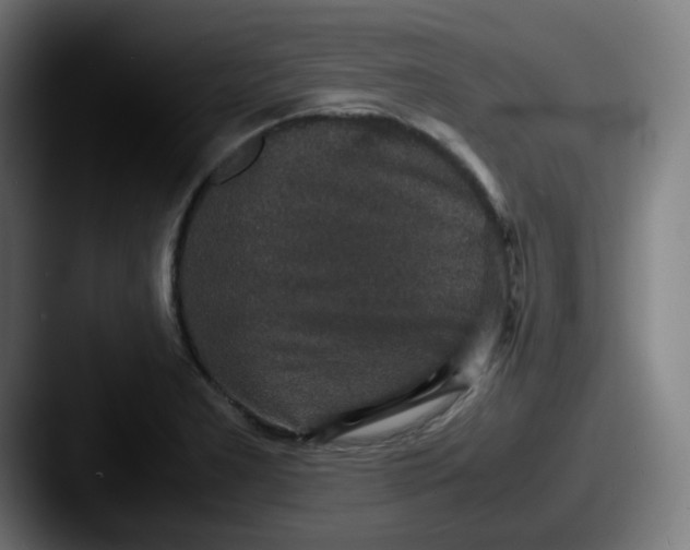 X0000087561277200705181118