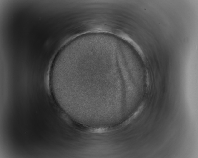 X0000087561278200705181118