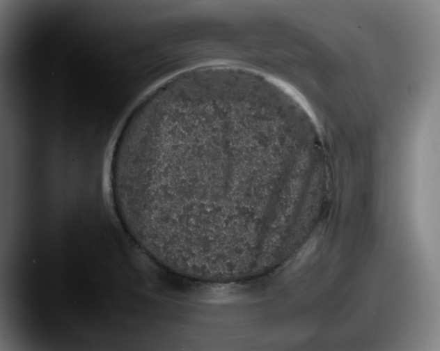 X0000087561279200705181118