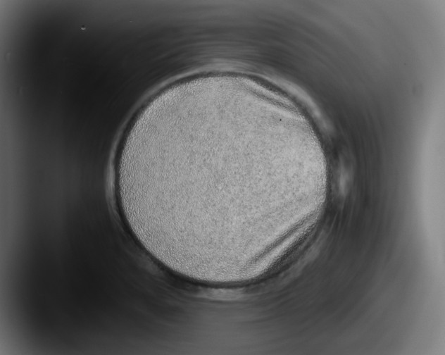 X0000087561280200705181118