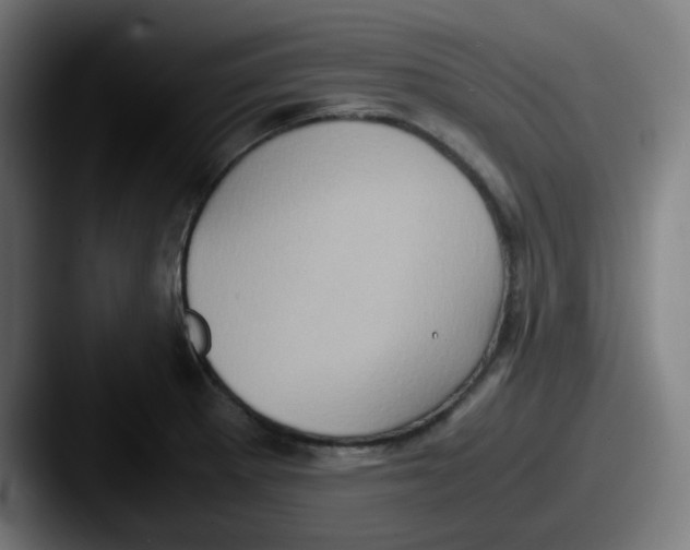 X0000087561281200705181118