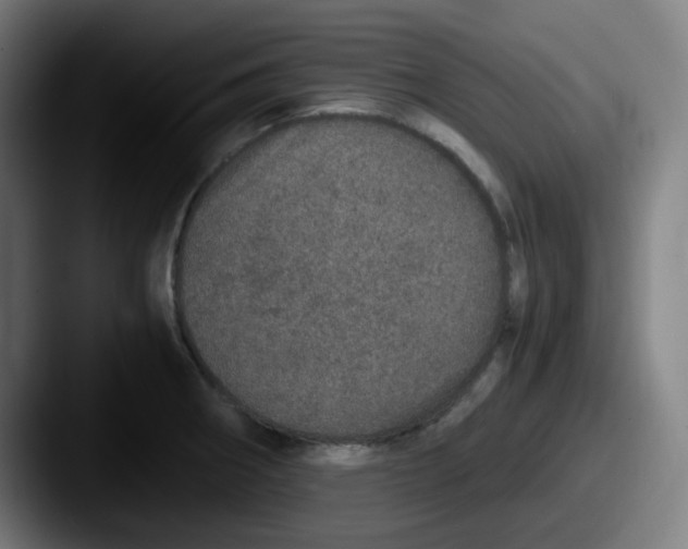 X0000087561282200705181118