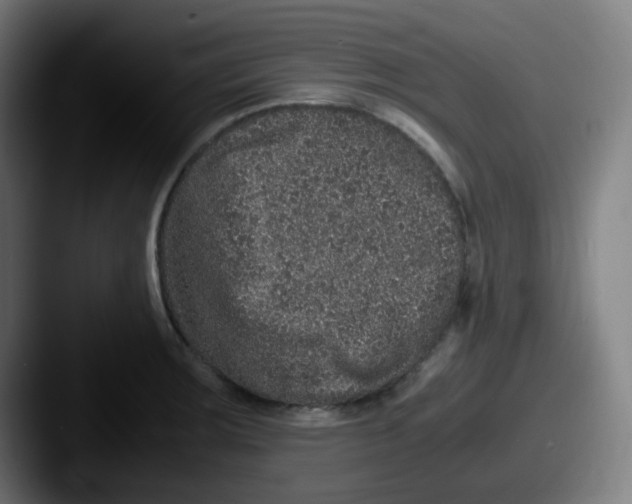 X0000087561283200705181118