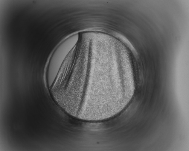 X0000087561284200705181118