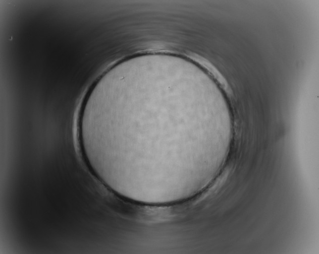 X0000087561285200705181118