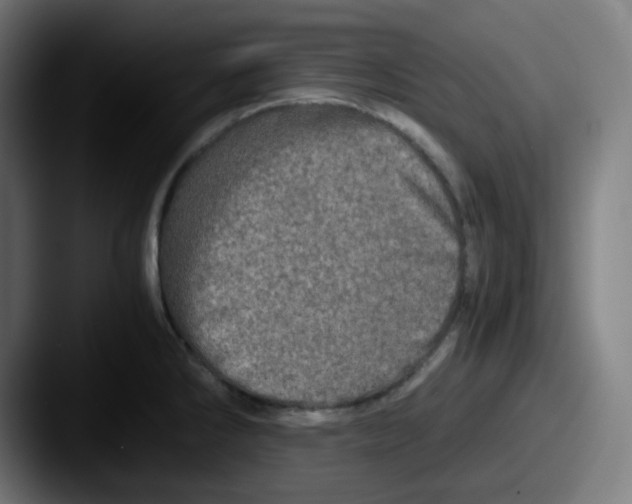 X0000087561286200705181118