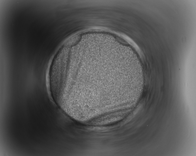 X0000087561287200705181118