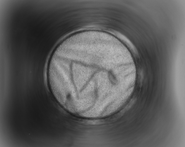 X0000087561288200705181118