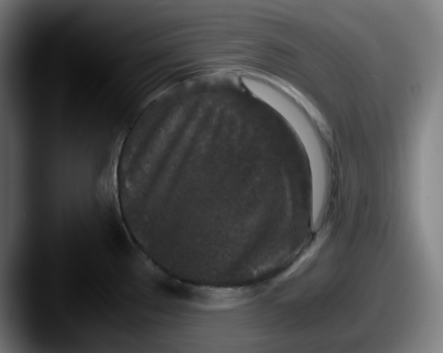 X0000087561289200705181118