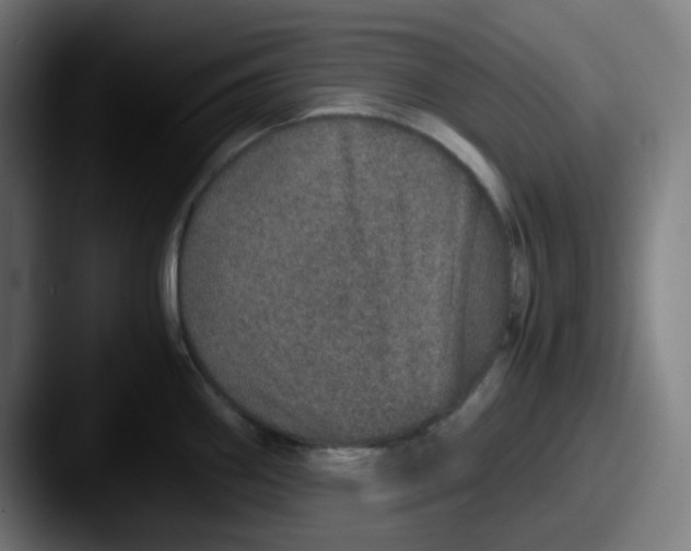 X0000087561290200705181118