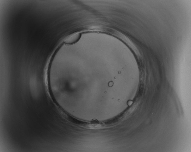 X0000087561291200705181118