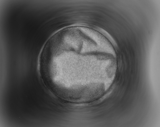 X0000087561292200705181118
