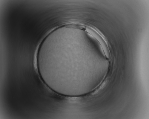 X0000087561293200705181118