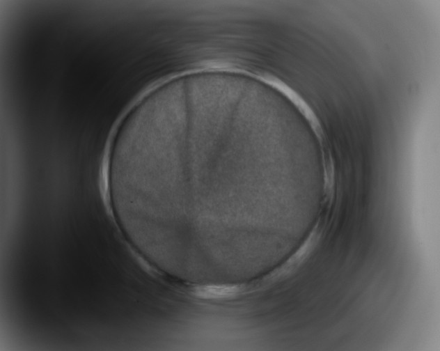 X0000087561294200705181118