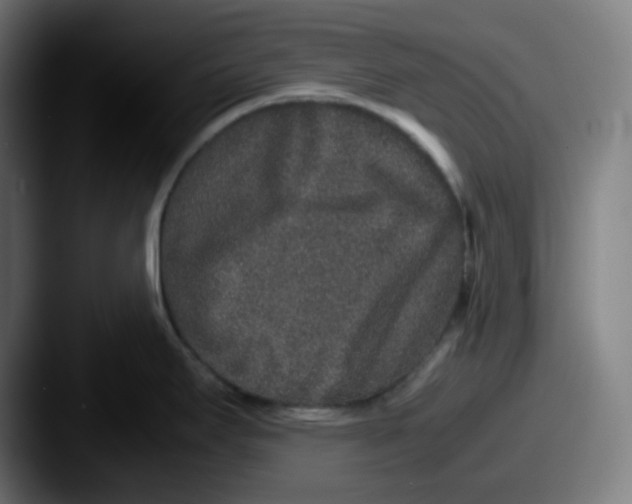 X0000087561295200705181118