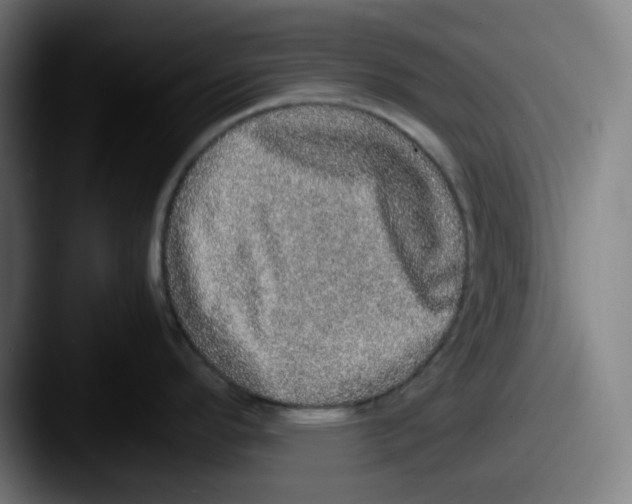 X0000087561296200705181118