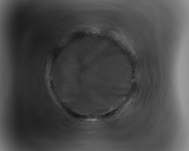 X0000087561297200705181117