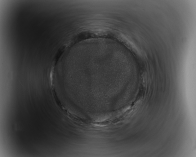 X0000087561298200705181117