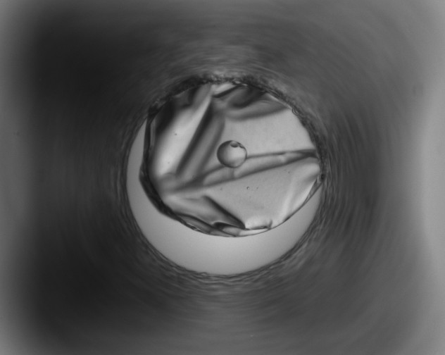X0000087561300200705181117