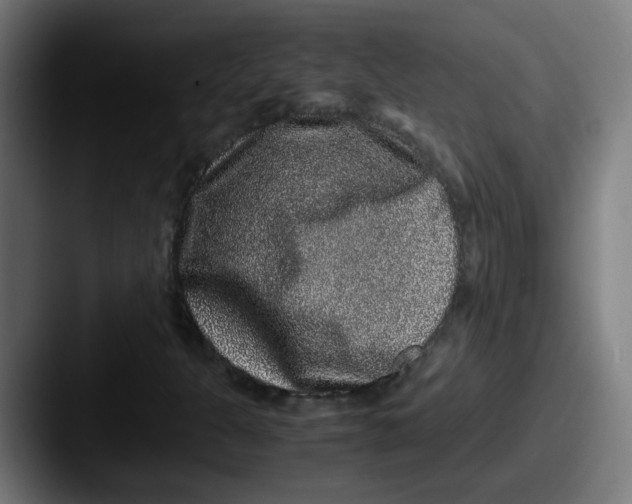 X0000087561301200705181117