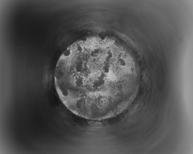 X0000087561302200705181117