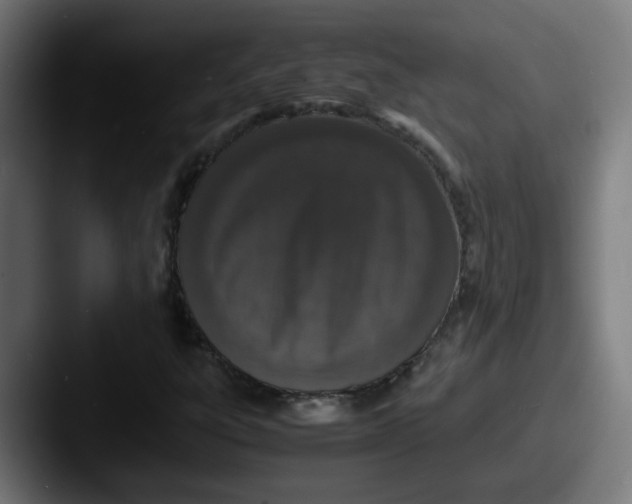 X0000087561303200705181117