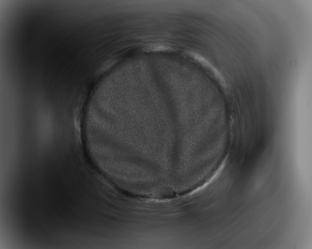 X0000087561305200705181117