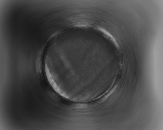 X0000087561306200705181117